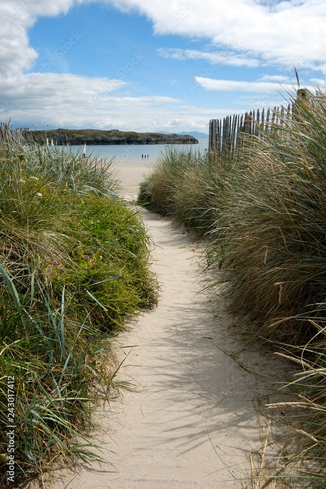 a sandy pathway with grass reeds leading to a calm blue bay a sandy pathway with grass reeds leading to a calm blue bay