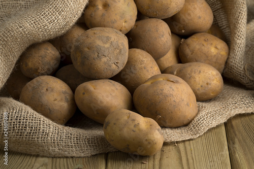  Fresh picked Dutch organic Opperdoezer potatoes