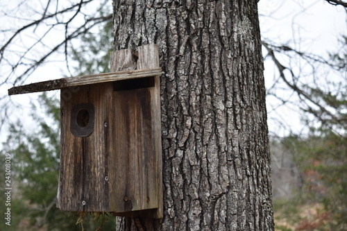 birdhouse