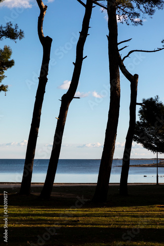 coast  in medulin  croatia 