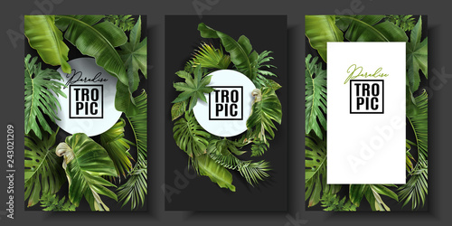 Vector banners set with green tropical leaves photo