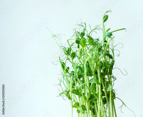 green pea sprouts