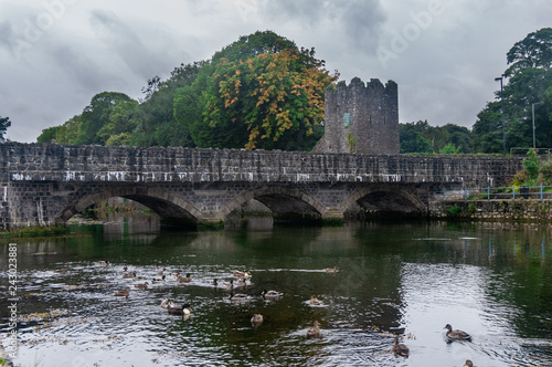 An old stone bridge over Glenarm River with ducks and castle tower, Glenarm, Northern Ireland
