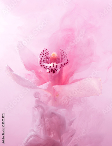 Pink orchid inside water white background color red acpylic underwater paint ink dye pastel under smoke