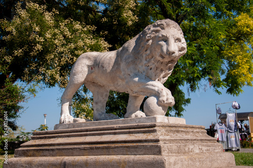 Bronze sculpture of lion in the green summer park