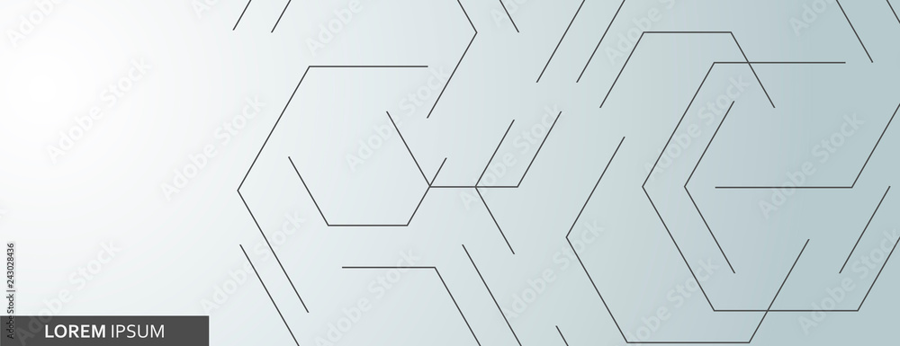 Vector banner design, white background with connect hexagon pattern