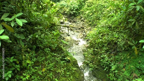 Rapids stretch down a hill during the rainy season in Ecuador. photo