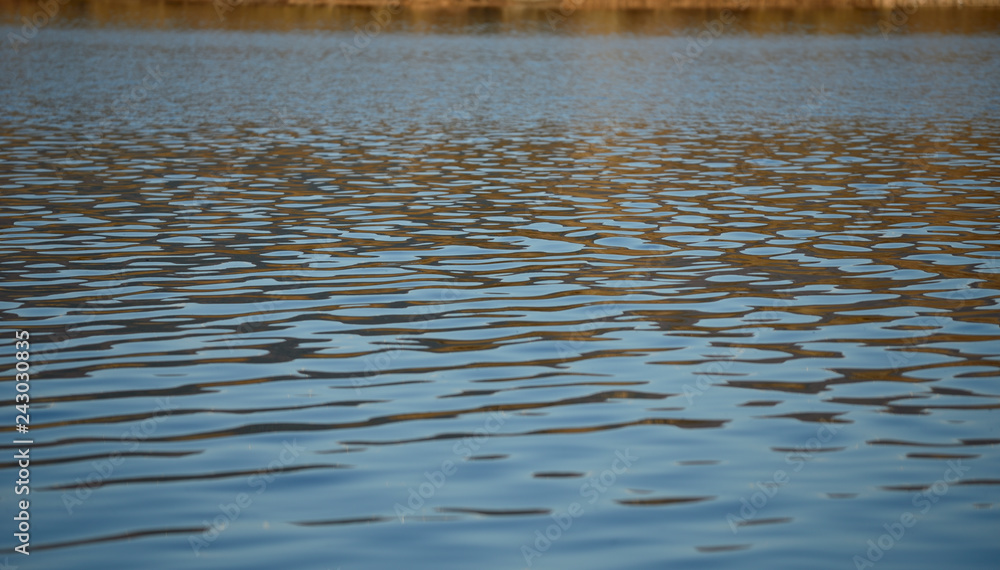 abstract image created by the marsh stream of ullibarri-gamboa in Alava (the Basque country)