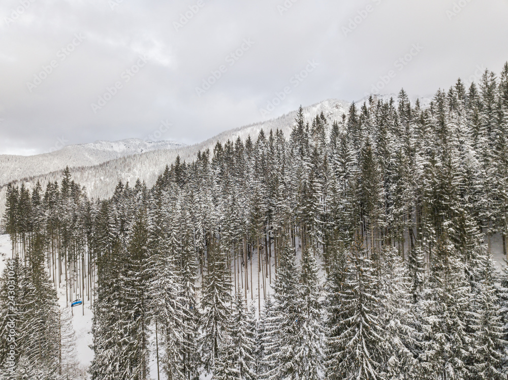 Snowy forest on the mountain slopes of Slovakia. Aerial view Snowy forest on the mountain slopes of Slovakia. Aerial view
