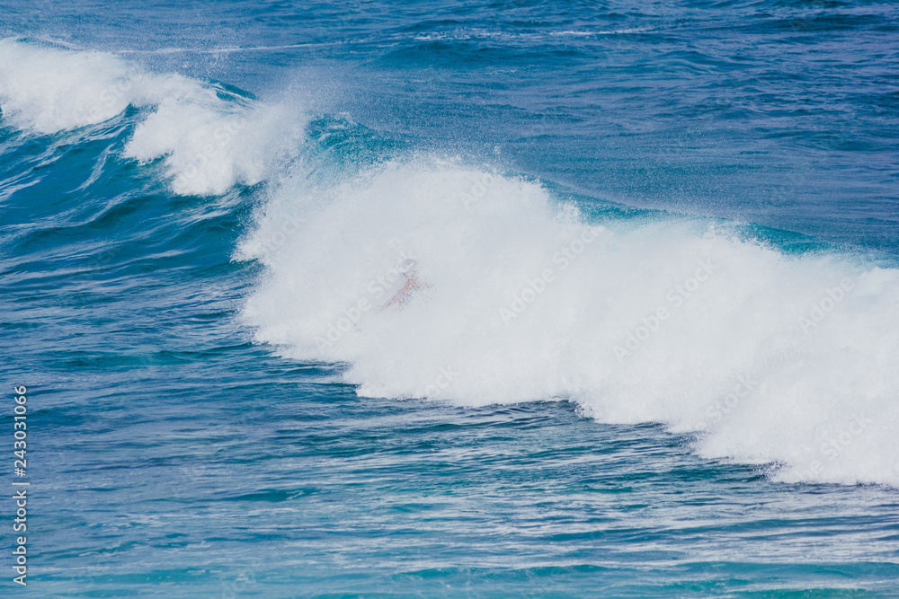 Fototapeta premium Surfer auf großer Welle auf Hawaii, Oahu