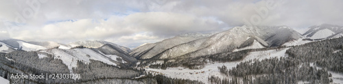 Snowy forest on the mountain slopes of Slovakia. Aerial view 