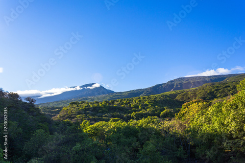 Hawaii  Oahu