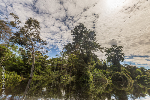 Pacaya Samiria National Reserve photo