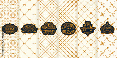 Vector set of design elements labels, icon, logo, frame, luxury packaging for the product