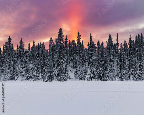Obraz na płótnie Sunrise in northern Sweden during a cold winter morning