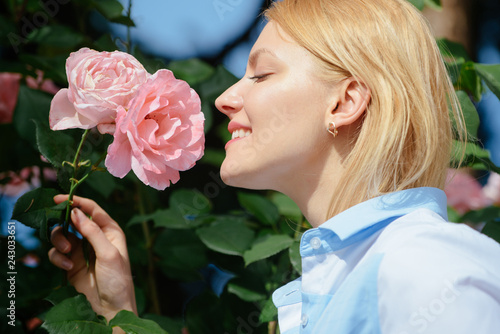 I love roses. Young woman at flowering rose shrub. Pretty woman smell rose flowers in summer garden. Adorable woman enjoy flower bloom. Summer flower blossom
