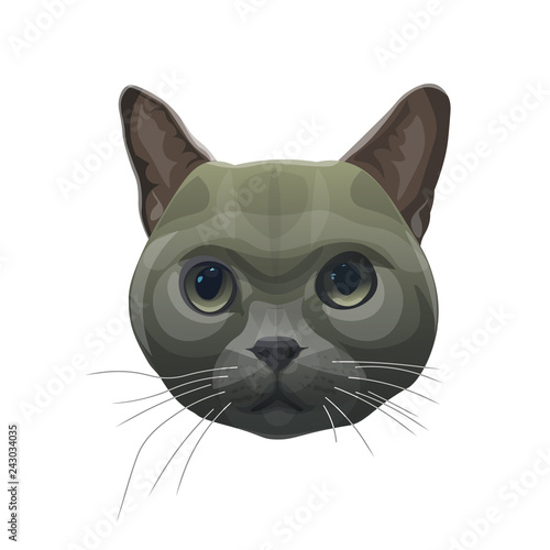 Fototapeta Naklejka Na Ścianę i Meble -  Cat head portrait