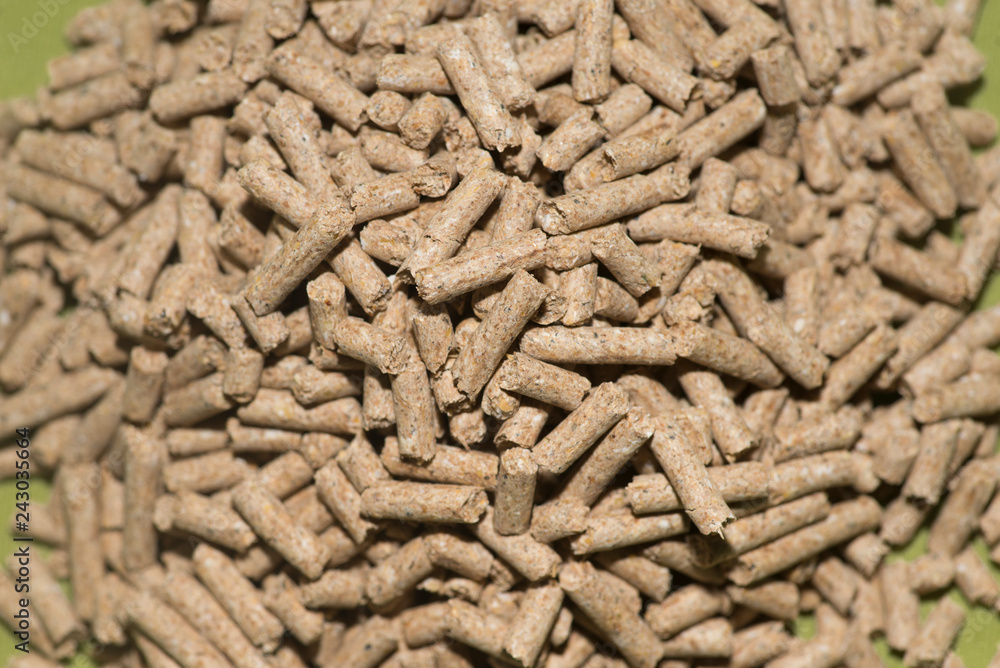 animal feed, pellet animal feed, pellet