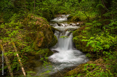 Forest Waterfall