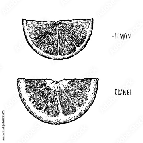 Lemon and orange wedges