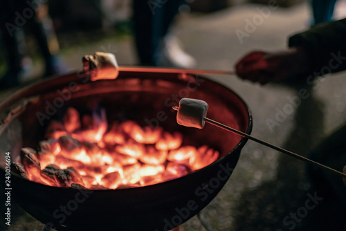 Фотография Children roasting marshmallows on skewers above the coals at night