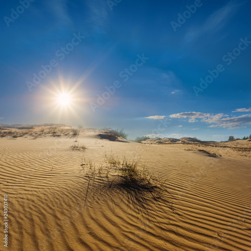 hot sandy desert under a sparkle summer sun