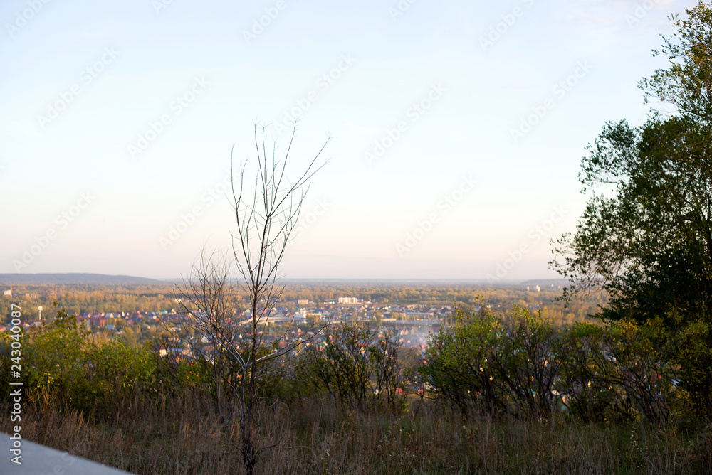 trees, bushes are in the foreground, city, buildings, river are in the background trees, bushes are in the foreground, city, buildings, river are in the background