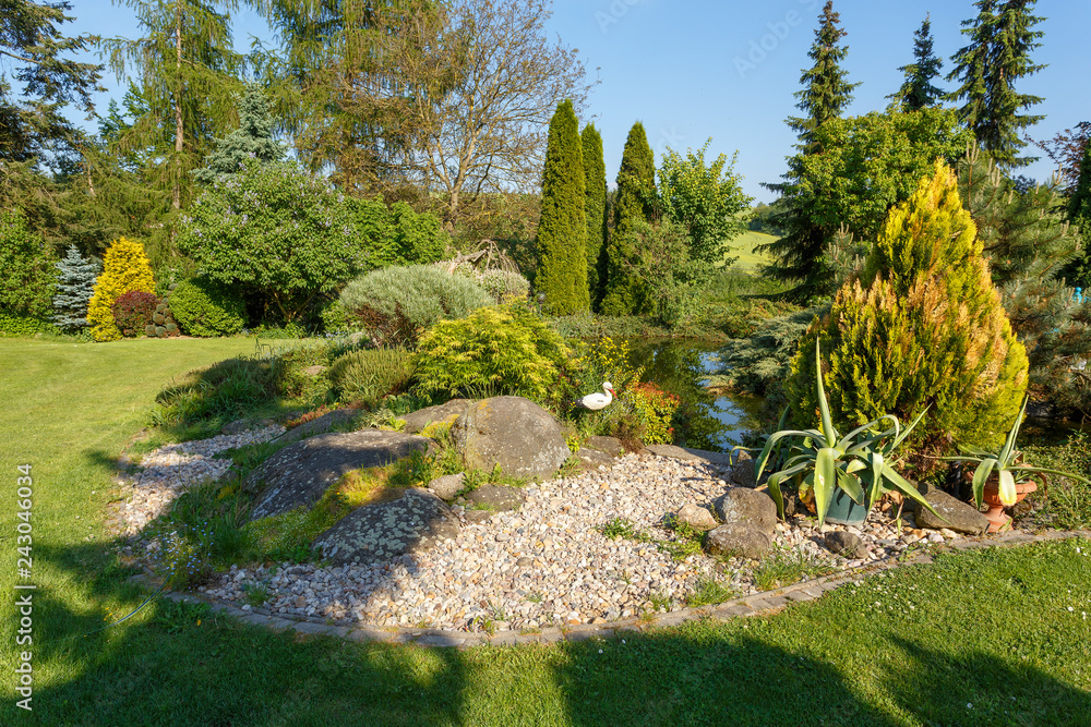 Obraz premium Beautiful spring garden with ornamental conifers and small garden pond with bridge, evergreen gardening concept