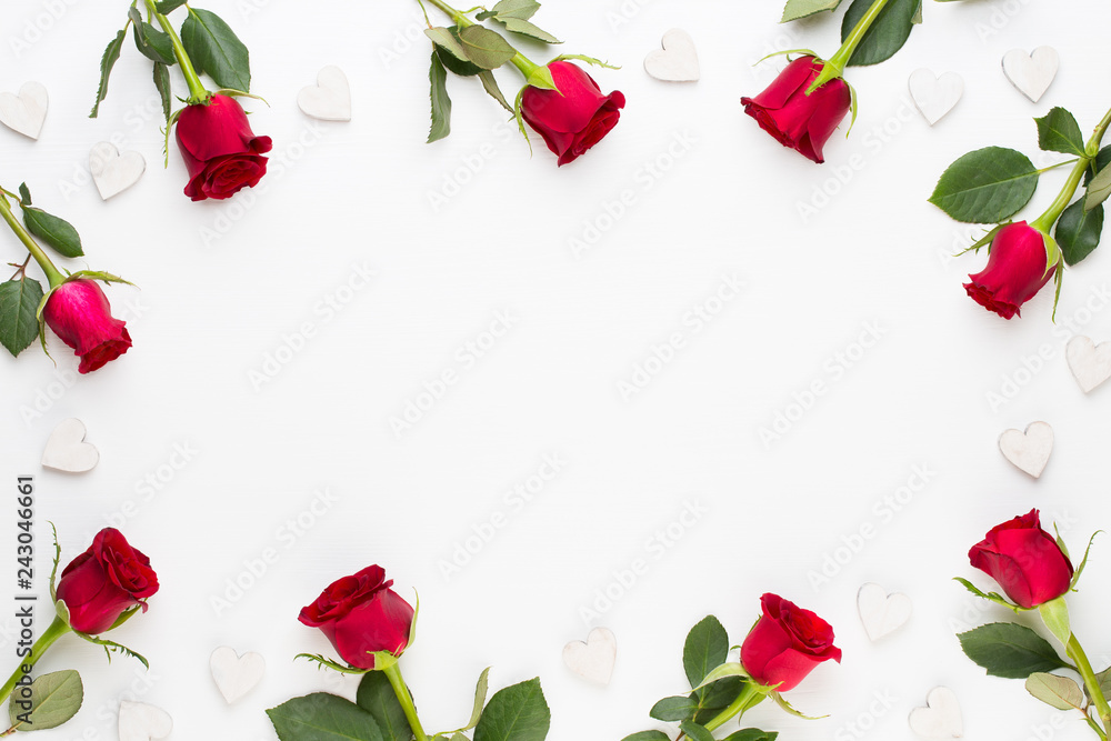 Fototapeta premium Kompozycja kwiatów. Rama wykonana z czerwonej róży na białym tle. Leżał na płasko, widok z góry, miejsce na kopię.