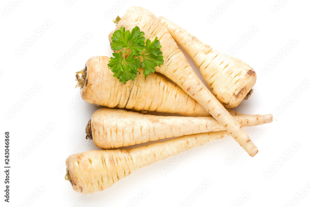 Parsnip isolated on the white background. Parsnip isolated on the white background.