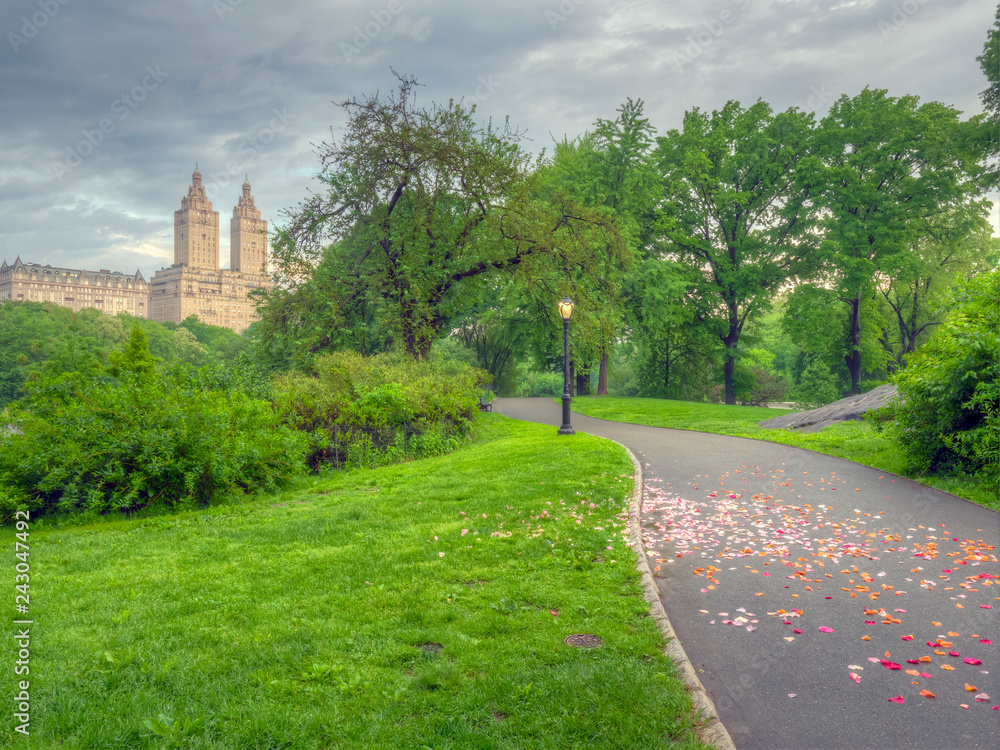 Obraz premium Central Park, New York City in spring