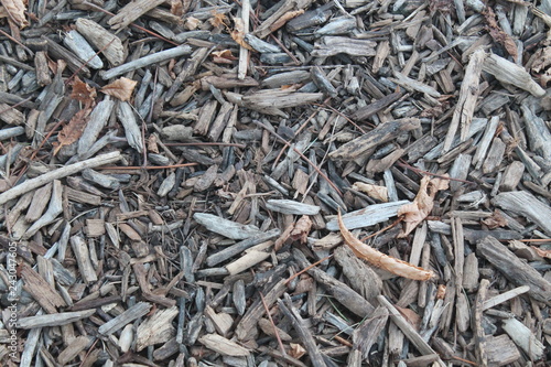 Floor with bed of pieces of wood and dry leaves