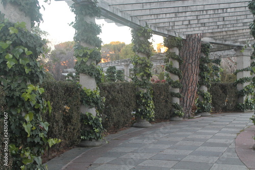Stone pillars with vines, surrounded by vegetation. photo taken at sunset