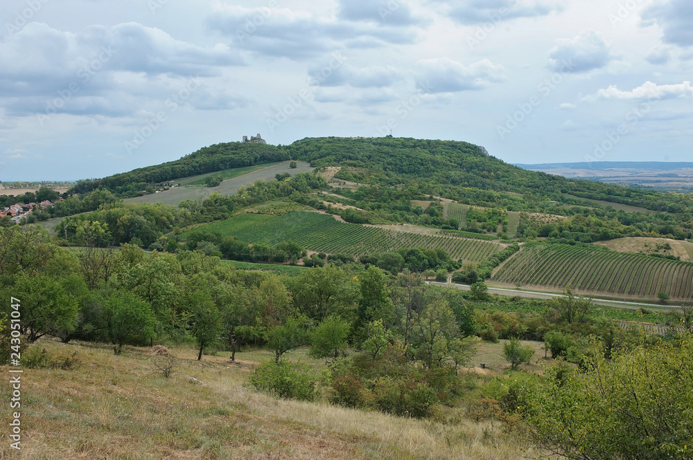Winnica w południowych Czechach, Morawy