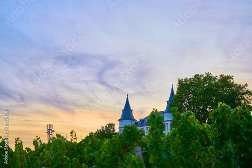 Sonnenuntergang hinter einem Schloss über einem Weinberg im Rheingau