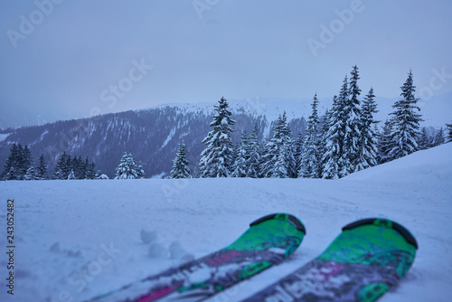 Winterlandschaft hinter Skibrettern