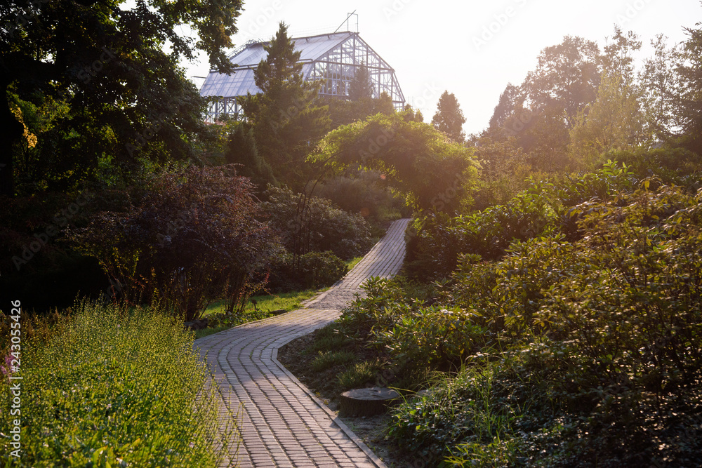 Fototapeta premium natural park sunset background