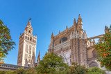 View of Seville Cathedral of Saint Mary of the See (Seville Cathedral) with Giralda tower and oranges trees in the foreground
