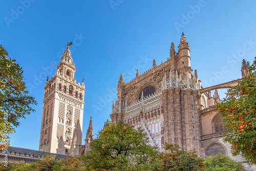 View of Seville Cathedral of Saint Mary of the See (Seville Cathedral)  with Giralda tower and oranges trees in the foreground photo