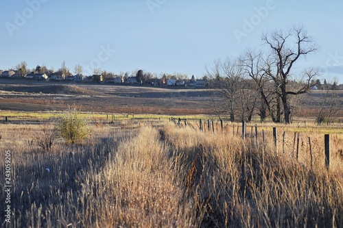 Views from the Cradleboard Trail walking path on the Carolyn Holmberg Preserve in Broomfield Colorado surrounded by Cattails  wildlife  plains and Rocky mountain landscape during fall close to winter.