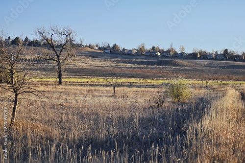 Views from the Cradleboard Trail walking path on the Carolyn Holmberg Preserve in Broomfield Colorado surrounded by Cattails, wildlife, plains and Rocky mountain landscape during fall close to winter. photo