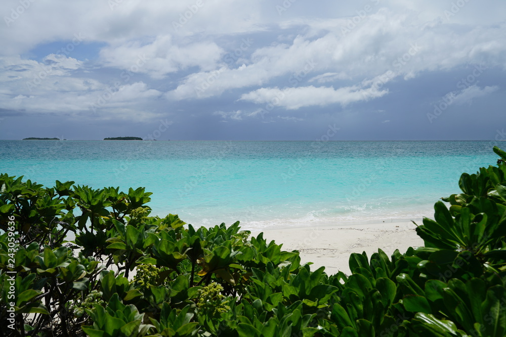 View of the ocean on Veyofushi Island, Maldives with tropical foliage in front