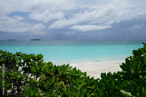 View of the ocean on Veyofushi Island, Maldives with tropical foliage in front
