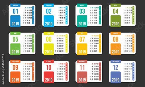 2019 full year colorful vector calendar
