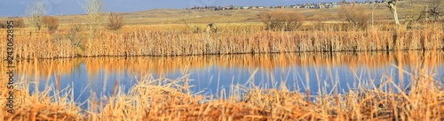 Views from the Cradleboard Trail walking path on the Carolyn Holmberg Preserve in Broomfield Colorado surrounded by Cattails, wildlife, plains and Rocky mountain landscape during fall close to winter.