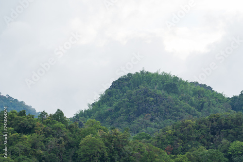 Trees that cover mountains © vachiraphan