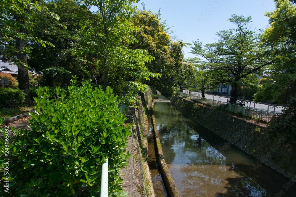 Fototapeta premium Lake Biwa Canal in Kyoto, Kita-shirakawa sosui (canal)