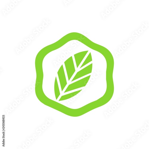 hexsagon leaf logo vector photo