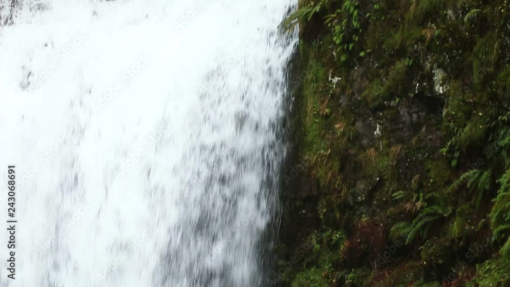 PNW Waterfall in Waterfall Alley, Oregon - Shallow Depth of Field PNW Waterfall in Waterfall Alley, Oregon - Shallow Depth of Field