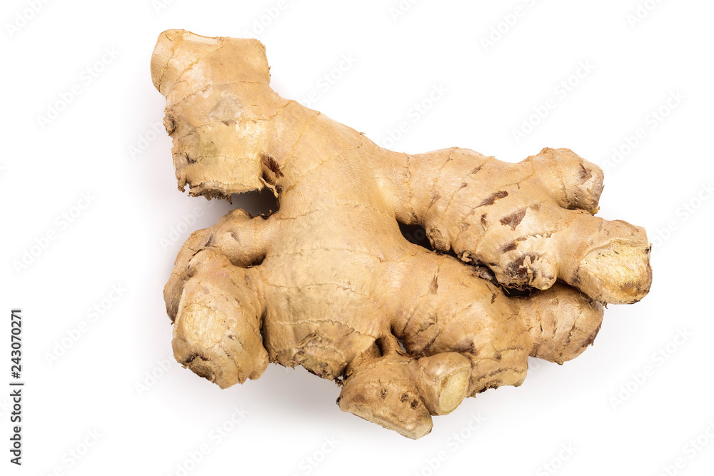 fresh Ginger root isolated on white background. Top view. Flat lay fresh Ginger root isolated on white background. Top view. Flat lay